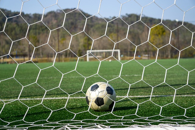 的蒙克同样 的蒙克同样