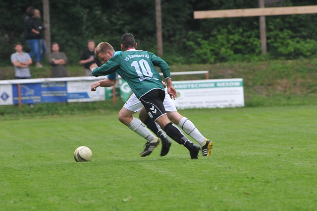 生于泥土的 生于泥土的